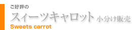 D]̃XB[cLbg̔