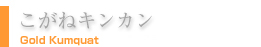 ˃LJ